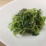 豆苗のゴマツナサラダ